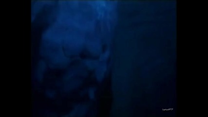 Reinxeed - Lost at Sea