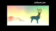 Evergreen - Beautiful music video 