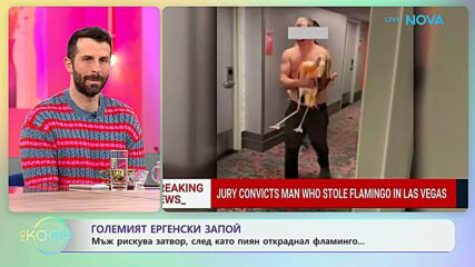 Мъж рискува затвор, след пиян откраднал фламинго | На кафе | 21 окт. 2026