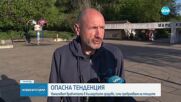 Броят врабчетата у нас