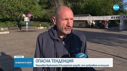Броят врабчетата у нас