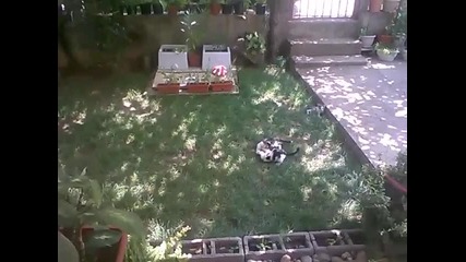 Win_20150814_133955 - Филмови моменти