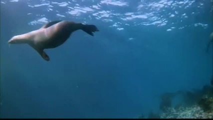 Релакс Wonderful Chill Out Music - The Depth Of Ocean