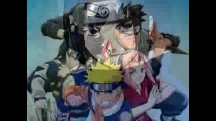 Team 7