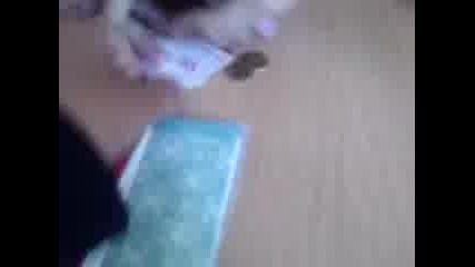 Borba w klasnata staq ^ ^