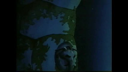 Special 3 - The Raccoons and the Lost Star part3