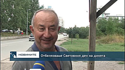 Отбелязваме Световния ден на динята