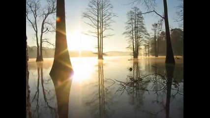 Amorphis - Summer`s End 