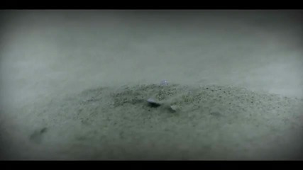 Kaskade - Angel On My Shoulder (official Video 2010)