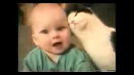 Kittyjump.3gp