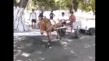 Паркиране на магаре с каруца 