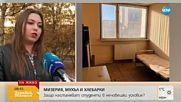 МИЗЕРИЯ, МУХЪЛ И ХЛЕБАРКИ: Защо настанават студенти в нечовешки условия?