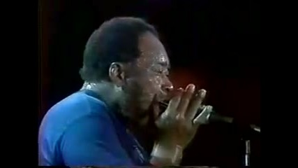 James Cotton - Slow Blues 