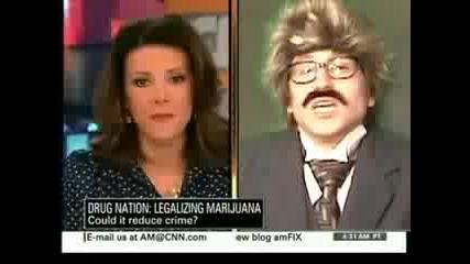 Miss California Gay Marriage Weed Auto - Tune the News