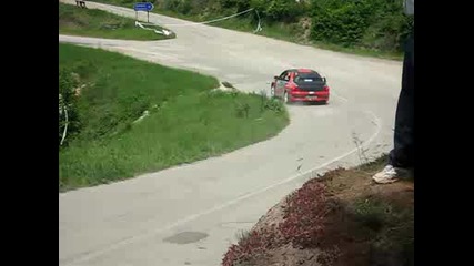 Рали Вида 2009