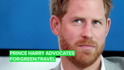 All you need to know about Prince Harry's green travel initiative