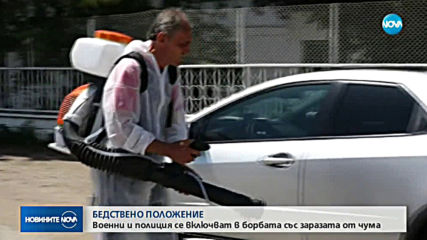 Бедствено положение в Русе заради африканската чума
