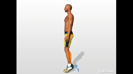 Legs exercises - Calf 2