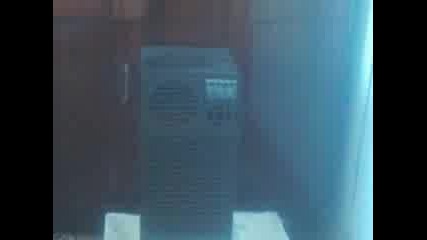 Bass