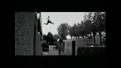 David Belle