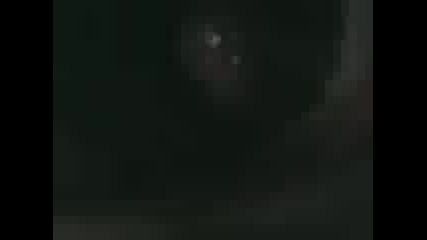 Много Смях