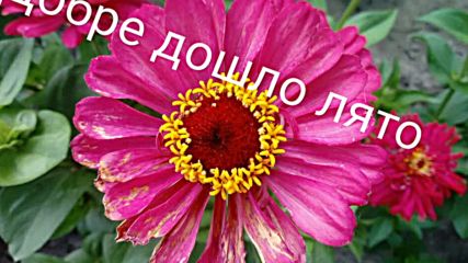 Лятото