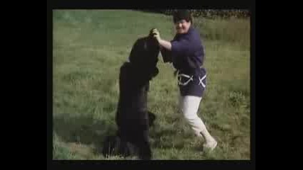 Benny Hill - Kung Fu