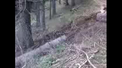 offroad chepelare