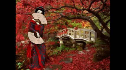 Ludovico Einaudi. Jardines Japoneses