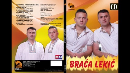 Braca Lekic - Zar je ovo zivot - (audio 2013) Hd