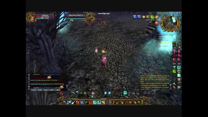 solo Bc boss