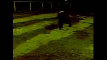 free run