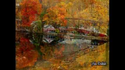 Ernesto Cortazar_autumn Nature