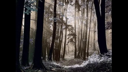 The Dogma ~ Autumn Tears