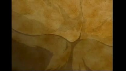 Sasuke Amv By Xtreem Skater