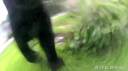 Мечка нахлу в частен дом, открадна хранилката за птици (ВИДЕО)