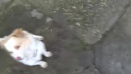 Видео - (2014-11-21 00:13:35)