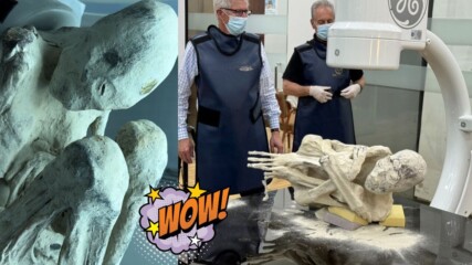 Странни „извънземни мумии“ с три пръста са открити в Перу!ВИЖТЕ!💥👽😱