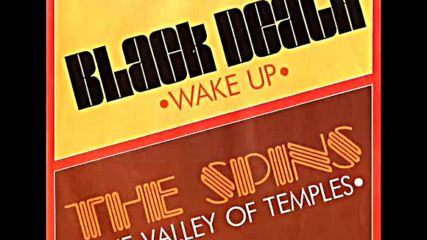 The Spins - Valley of Temples 1978
