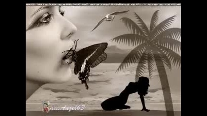I Will Remember You - Sarah Mclachlan 