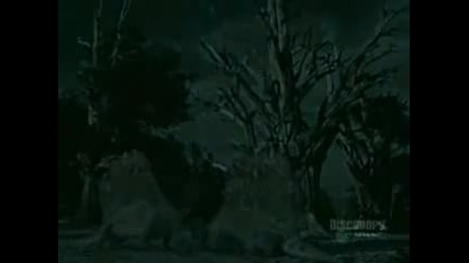 Разходка С Чудовища - Преди Динозаврите Dimentrodon fight
