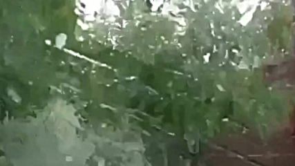 Градушка удари района на Борован