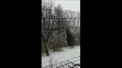 Ураганен вятър
