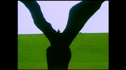 Depeche Mode - Enjoy The Silence 