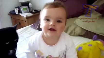 Компилация Смях ! Cute cats cuddling and playing with babies