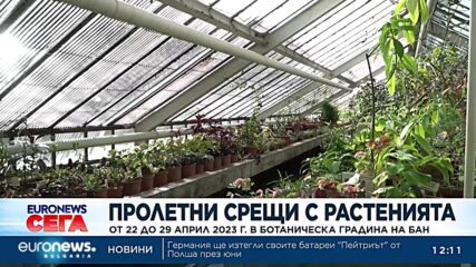 Ботаническата градина на БАН посреща посетители с експозиция, посветена на растенията епифити