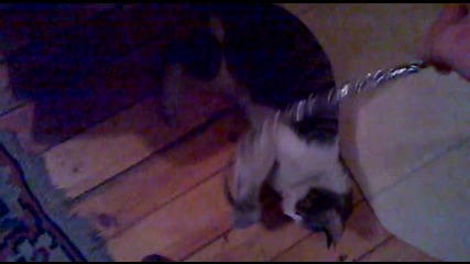 Clarky pizzataaaaaaaaaaaaaaaaa