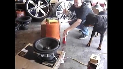 Woofer Vs Wall Socket (fi Btl - Will it survive )