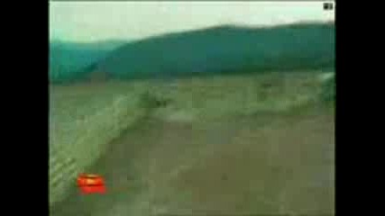 Funny Videos