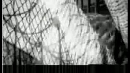 T.i. Feat. Justin Timberlake - Dead And Gone